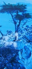 Robert Sheer Spirits Honoring the Lone Cypress Single Exp Photograph Hand signed