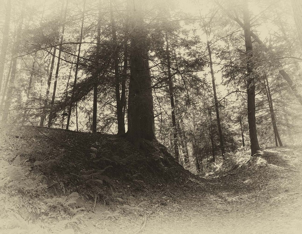 LANDSCAPE 8.5×11 or 13X19 B&W BORDERLESS GLOSSY PRINT (FREE SHIPPING)