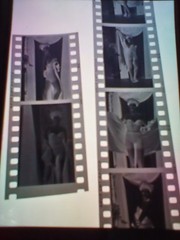Vintage Negatives Lot of 38 «Lady Getting Dressed» Sexy Shots