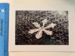 4”x6” Snowflake Print With Photo Mat