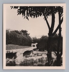 Hamburg – Tierpark Hagenbeck Tiger Enclosure – Old Photo