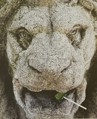 Vintage Fine Art Print of Masonry Architectural Lion with Lollipop Framed12x15″