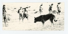 Mario Giacomelli Italy Photo La Buona Terra 1960s Vintage Dog Humanism Italian