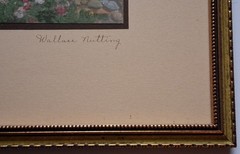 PETUNIAS RUN WILD Wallace Nutting Hand-tinted Photograph BRILLIANT Unfaded Color