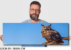 Twilight Guardian: Horned Owl On a Branch Wildlife Wall Art Print