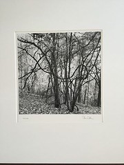 BRUCE BLUM Matted & SIGNED B&W Photo Print (9 3/4 «X 10»)-«Laocoon»