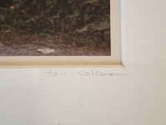 Lot Of 2 Bill Coleman Signed Amish No 22 & 251 Matted Photographs