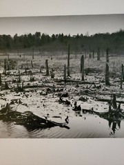 DESOLATE LARGE ORIGINAL SIGNED ART PHOTO B&W STETTNER VTG MATTE NJ CAMERA