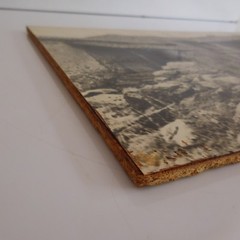 Original Black & White Analog Photography On Wood XXth Art Deco PN France