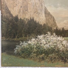 Antique ‘Gates of YOSEMITE El Capitan’ Hand Colored MAMMOTH ALBUMEN Photograph