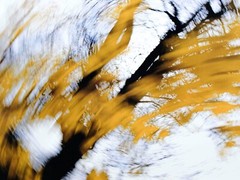 Jean Claude Chastaing – Original Photo – Digital – Abstraction 128
