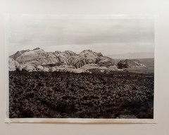 Red Rock Canyon, View #1, Nevada, USA, 40 x 60in Art photo by Mel Gonz