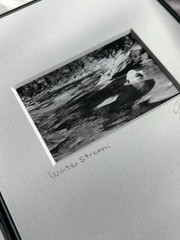3 Black & White Minimal Modern Framed Photo Art Nature Titled Artist Signed