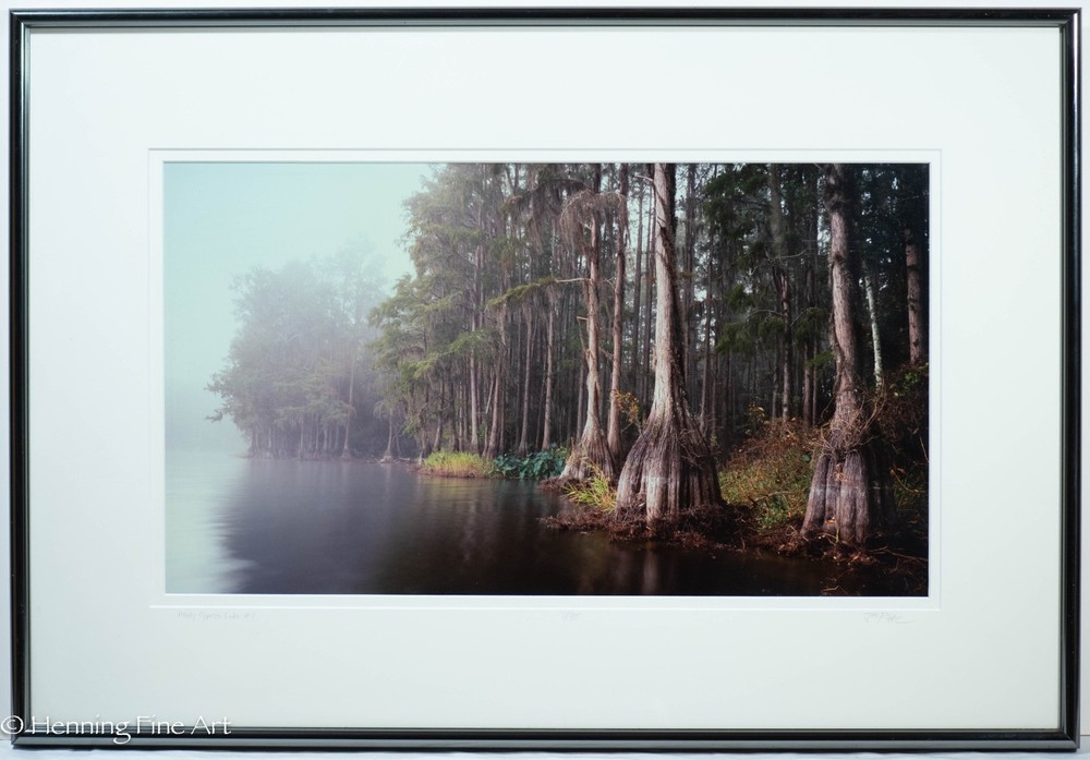 Jeff Ripple Signed Photograph of Misty Florida Cypress Tree Landscape 22×32″