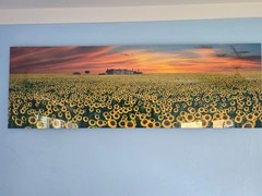 Peter Lik «Summer Romance» Limited Edition 99/200 with COA – Acrylic Mount