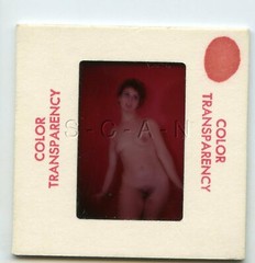 Original Camera Club Nude 1960s 35mm Slide Negative- Endowed Woman- Brunette 16