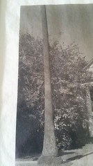 SIGNED, DATED by MADOKA TAKAGI – Vintage Platinum Photograph – Adams Los Angeles
