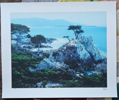 Robert Sheer Spirits Honoring the Lone Cypress Single Exp Photograph Hand signed