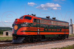 Photo Art Print of Texas Mexican Railway EMD F7 No. 801