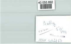 40055892 – 5584 Bullay Local View
