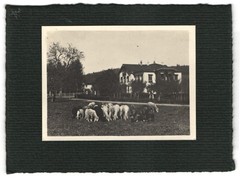 16 photographs Salzburg, Traunstein, Berchtesgaden, views with surroundings and