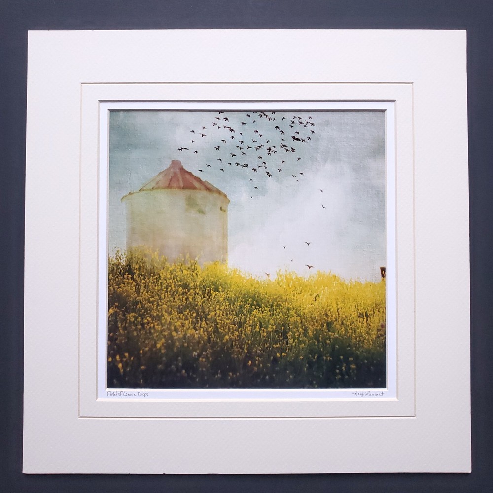 Angie Lambert Photograph Farm Silo Birds Flowers Americana Rustic 12×12″ Matted