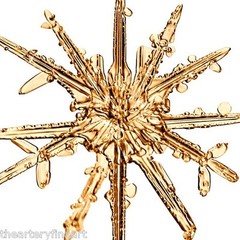 MIKE & DOUG STARN TWINS ‘Sno7,1_016 (Snowflake)’, 2005 SIGNED Photograph **NEW**