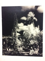 Orig. 1960’s Photograph PATA «Palms & Huts» New Calcedonia 11.5″ x 9.75″