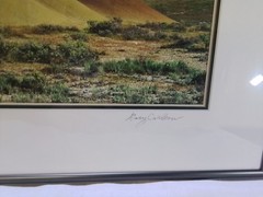 «Painted Hills Gold» – Framed Landscape Photograph by Gary Carlson