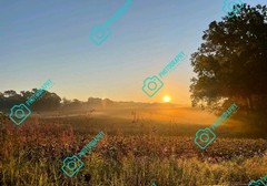 Photo Prints