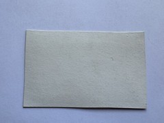 orig. CDV photo lithograph around 1860 Lindau Lake Constance