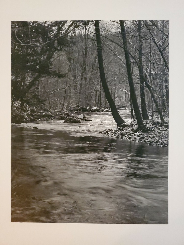 FOREST CREEK LARGE ORIGINAL SIGNED ART PHOTO B&W STETTNER VTG MATTE NJ CAMERA