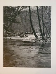 FOREST CREEK LARGE ORIGINAL SIGNED ART PHOTO B&W STETTNER VTG MATTE NJ CAMERA