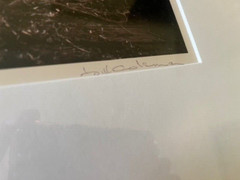 Bill Coleman – Amish Buggy – Photography Matted & Framed 26.5″ x 22.5″ – Signed!