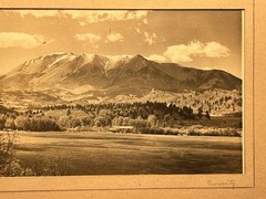 RARE ORIGINAL Early 1900s Silver Photo