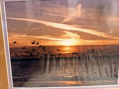 New Emmitt Phalen Sunset Geese Flock Over Water Framed Photograph Print