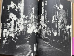 🎈Sup RARE Daido Moriyama Inu no Kioku, Shusho Memories of a Dog Final Chapter