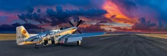 Peter Lik «Velocity» Airplane Aviation HUGE 6.5 Feet (2M) Picture with COA