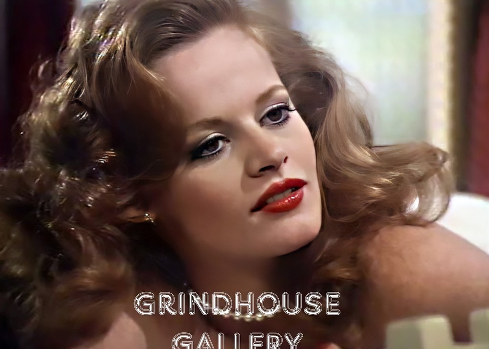 LISA DE LEEUW Adult Film Legend Vintage Sexy Pin-Up Wall Art Photo Print #28B