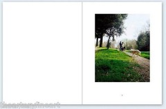 JOHN DIVOLA ‘7 Dogs’ SIGNED Photograph in Limited Edition ‘One Picture Book’ NEW