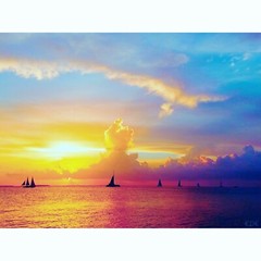 KEY WEST Sunset Sail 11×14″ Matted Art Photo Photograph Sailing Silhouette Boat