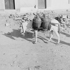 Photo On Paper Analog SPAIN 1960 Size 30x30cm