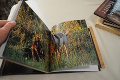 Araquem Alcantara Quens Mais Artes Graficas Amazing Brazilian Photographs HCDJ