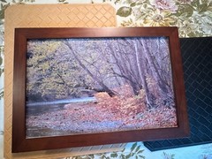 Colorful Fall Landscape Photograph Framed 19″ x 13″ by Hal Mitcheltree
