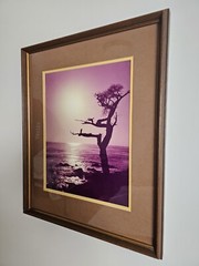 ART – VTG Original Signed Karl Bonfert 35mm Photograph CA 21.25×17.25 Framed Art