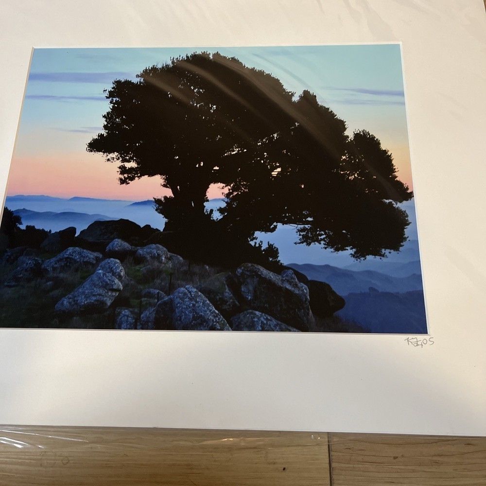 Matted Photo Tree of Life Sunrise Rocky Ridge Silhouette Kevin Fox Signed 2006