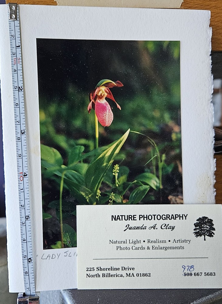 Vintage Blank Photo Greeting Cards Juanda Clay photography Nature Themes