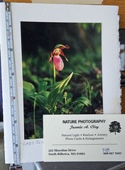 Vintage Blank Photo Greeting Cards Juanda Clay photography Nature Themes