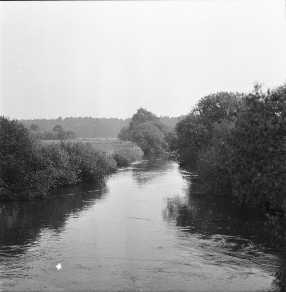 Old negative & photo 2724 Hellwege approx. 6x8cm collection resolution-ms4915h