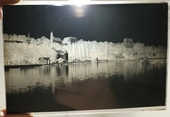 Lot Of 11 Photographic Plates Early 20th Century From Thonon-Les-Bains